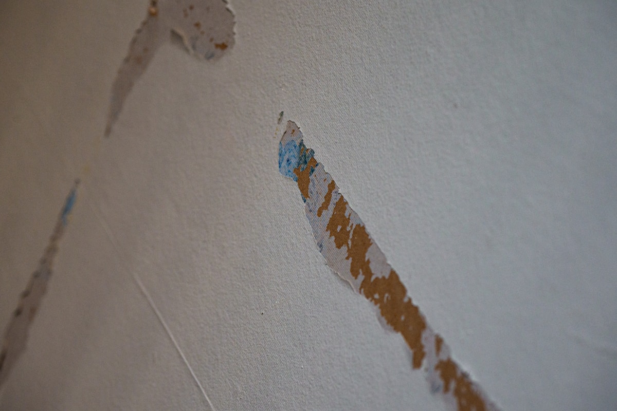 Flood Cleanup service in Beaverton, OR